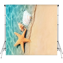 Starfish And Seashell On The Summer Beach In Sea Water Backdrops 210075031