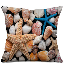 Starfish And Shells Pillows 58115867
