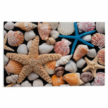 Starfish And Shells Rugs 58115867