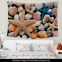 Starfish And Shells Wall Art 58115867