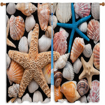 Starfish And Shells Window Curtains 58115867