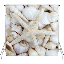 Starfish Beauty Backdrops 53941392