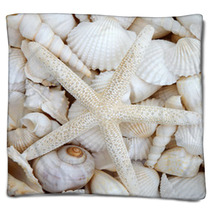 Starfish Beauty Blankets 53941392