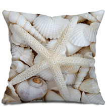 Starfish Beauty Pillows 53941392