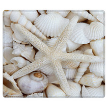Starfish Beauty Rugs 53941392