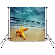 Starfish On The Tropical Beach Backdrops 9054631