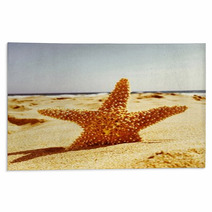 Starfish Rugs 62539715