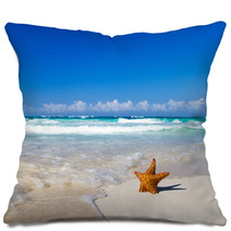 Starfish With Ocean Pillows 63661037