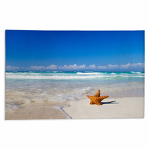Starfish With Ocean Rugs 63661037