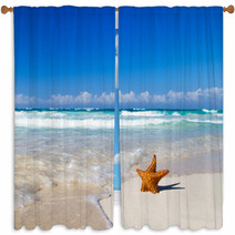 Starfish With Ocean Window Curtains 63661037