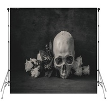 Still Life Black And White Photography With Human Skull And Rose Backdrops 92383439