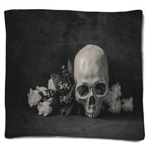 Still Life Black And White Photography With Human Skull And Rose Blankets 92383439