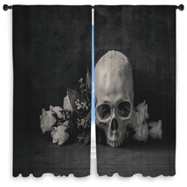Still Life Black And White Photography With Human Skull And Rose Window Curtains 92383439