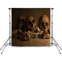 Still Life With Skulls And Bones Art And Dark Concept Backdrops 98860142