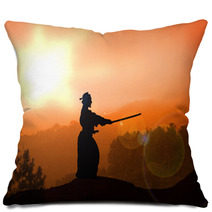 Stock Illustration Of Kendo Training On Mountain Pillows 45743883