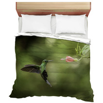 Stripe tailed Hummingbird Bedding 52738579