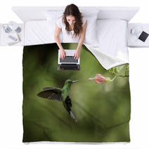Stripe tailed Hummingbird Blankets 52738579