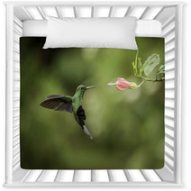 Stripe tailed Hummingbird Nursery Decor 52738579