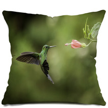 Stripe tailed Hummingbird Pillows 52738579