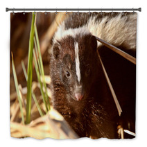 Striped Skunk In Marsh Bath Decor 29671418