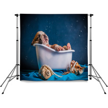 stuff in the bath with bubbles Backdrops 65480727