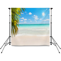 Stunning Caribbean Beach With Transparent Waters Backdrops 57963866