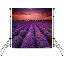 Stunning Landscape With Lavender Field At Sunset Backdrops 64900250
