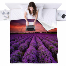 Stunning Landscape With Lavender Field At Sunset Blankets 64900250