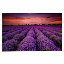 Stunning Landscape With Lavender Field At Sunset Rugs 64900250