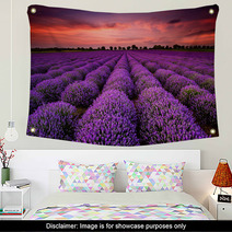 Stunning Landscape With Lavender Field At Sunset Wall Art 64900250
