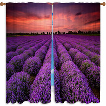 Stunning Landscape With Lavender Field At Sunset Window Curtains 64900250
