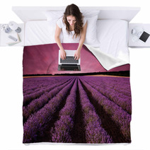 Stunning Lavender Field Landscape At Sunset Blankets 61156891