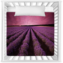 Stunning Lavender Field Landscape At Sunset Nursery Decor 61156891