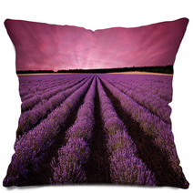 Stunning Lavender Field Landscape At Sunset Pillows 61156891