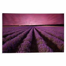 Stunning Lavender Field Landscape At Sunset Rugs 61156891