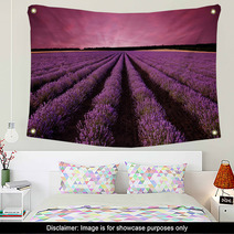 Stunning Lavender Field Landscape At Sunset Wall Art 61156891