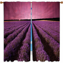 Stunning Lavender Field Landscape At Sunset Window Curtains 61156891