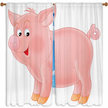 Sucking Pig Window Curtains 1886272