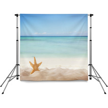 Summer Beach With Starfish Backdrops 66245374