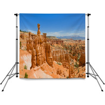Summer Day In Bryce Canyon Backdrops 55788722