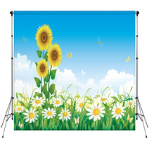 Summer Meadow With Daisies And Sunflowers Backdrops 65112527
