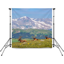 Summer Meadow With Elks Backdrops 68197707