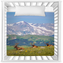 Summer Meadow With Elks Nursery Decor 68197707