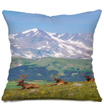 Summer Meadow With Elks Pillows 68197707