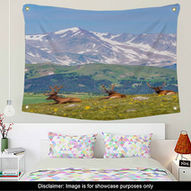 Summer Meadow With Elks Wall Art 68197707