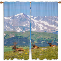 Summer Meadow With Elks Window Curtains 68197707