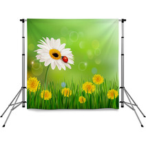 Summer Nature Background With Ladybug On White Flower. Vector. Backdrops 52990596