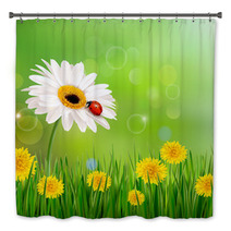 Summer Nature Background With Ladybug On White Flower. Vector. Bath Decor 52990596