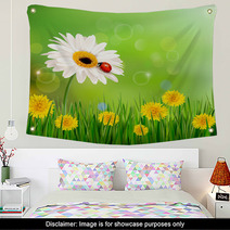 Summer Nature Background With Ladybug On White Flower. Vector. Wall Art 52990596