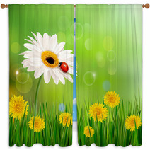 Summer Nature Background With Ladybug On White Flower. Vector. Window Curtains 52990596
